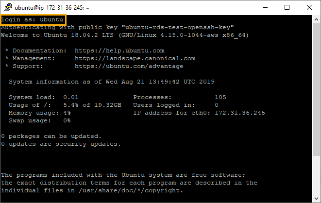 PuTTY Terminal connected to Ubuntu EC2 instance