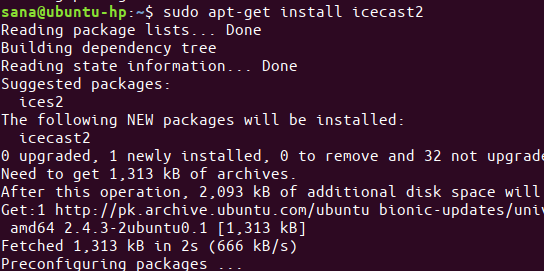 $ sudo apt-get install icecast2 