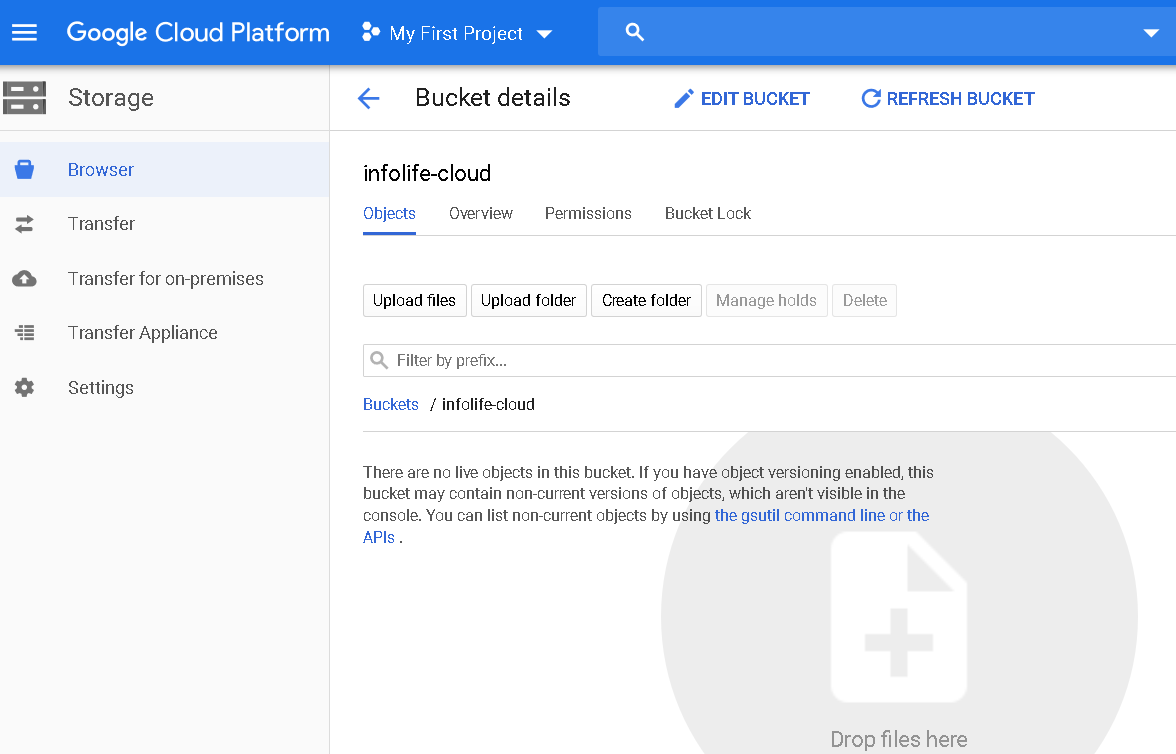 Upload a file in the cloud storage bucket 